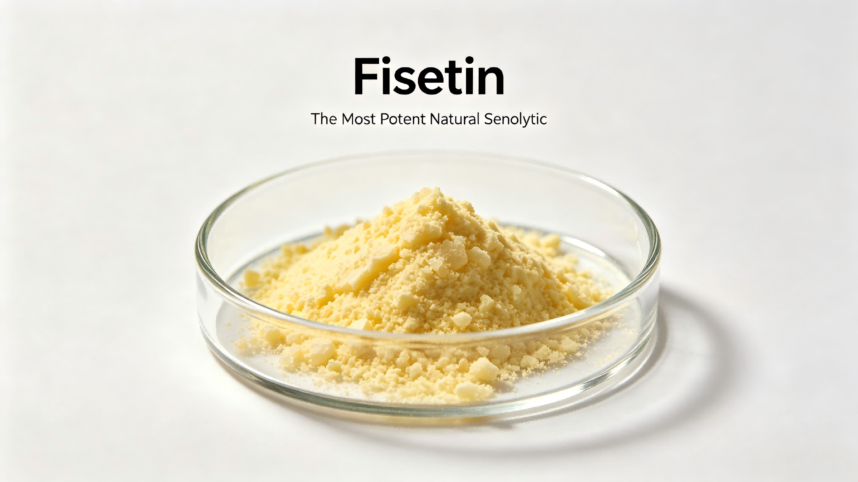 Fisetin: The Ultimate Guide to the Most Potent Natural Senolytic
